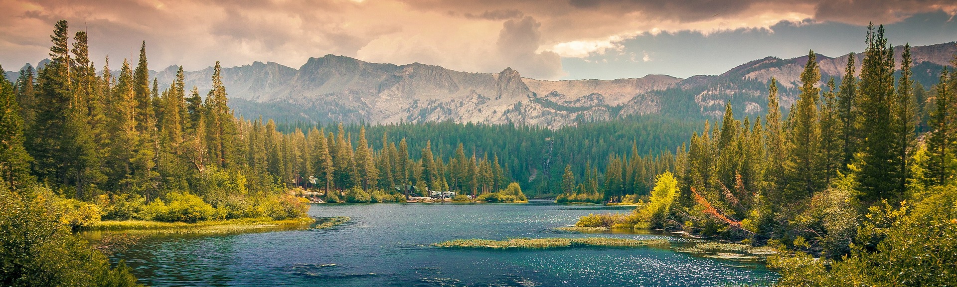 diabetes supplements